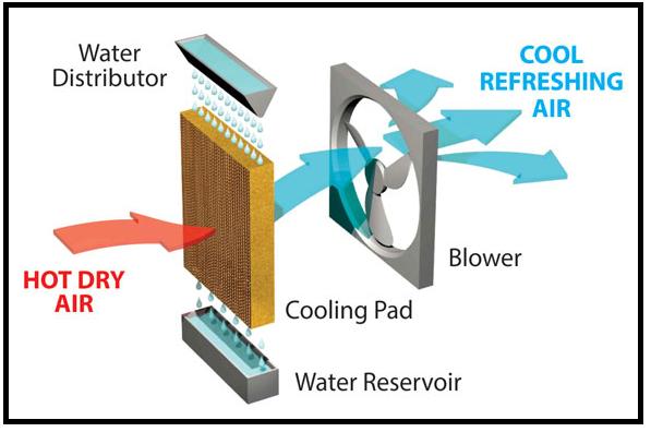 What Are Siboly Evaporative Coolers? Here's Everything You Need to Know