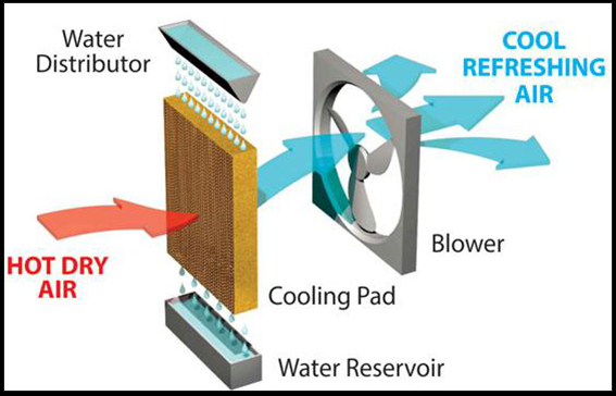 Frequently Asked Questions About Buying the Best Portable Air Cooler